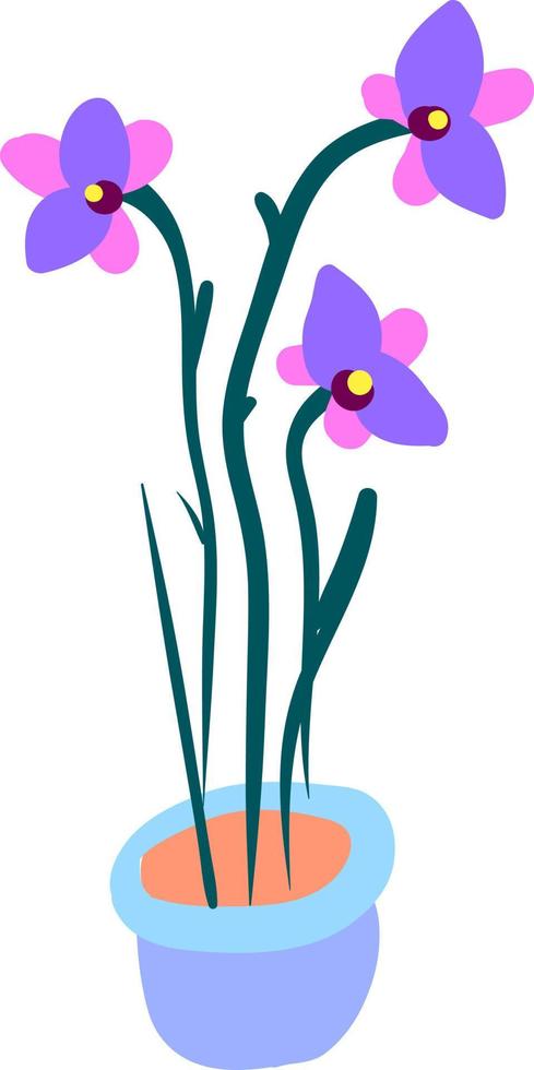 Orquídea en maceta, ilustración, vector sobre fondo blanco.