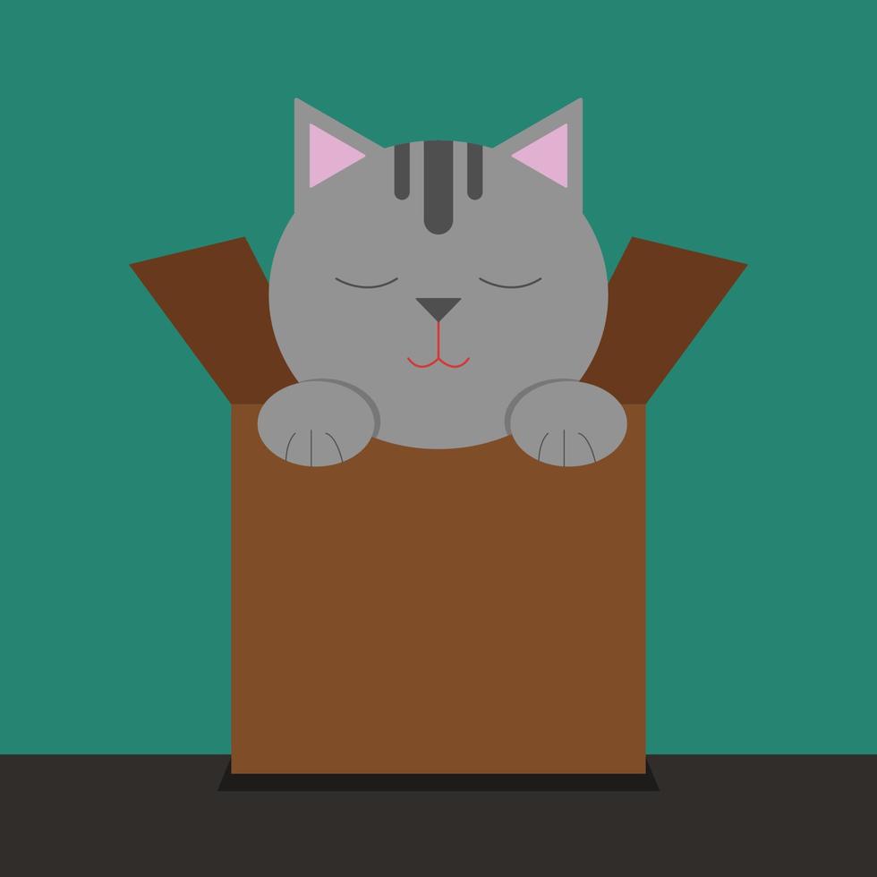 Gato en caja, ilustración, vector sobre fondo blanco.