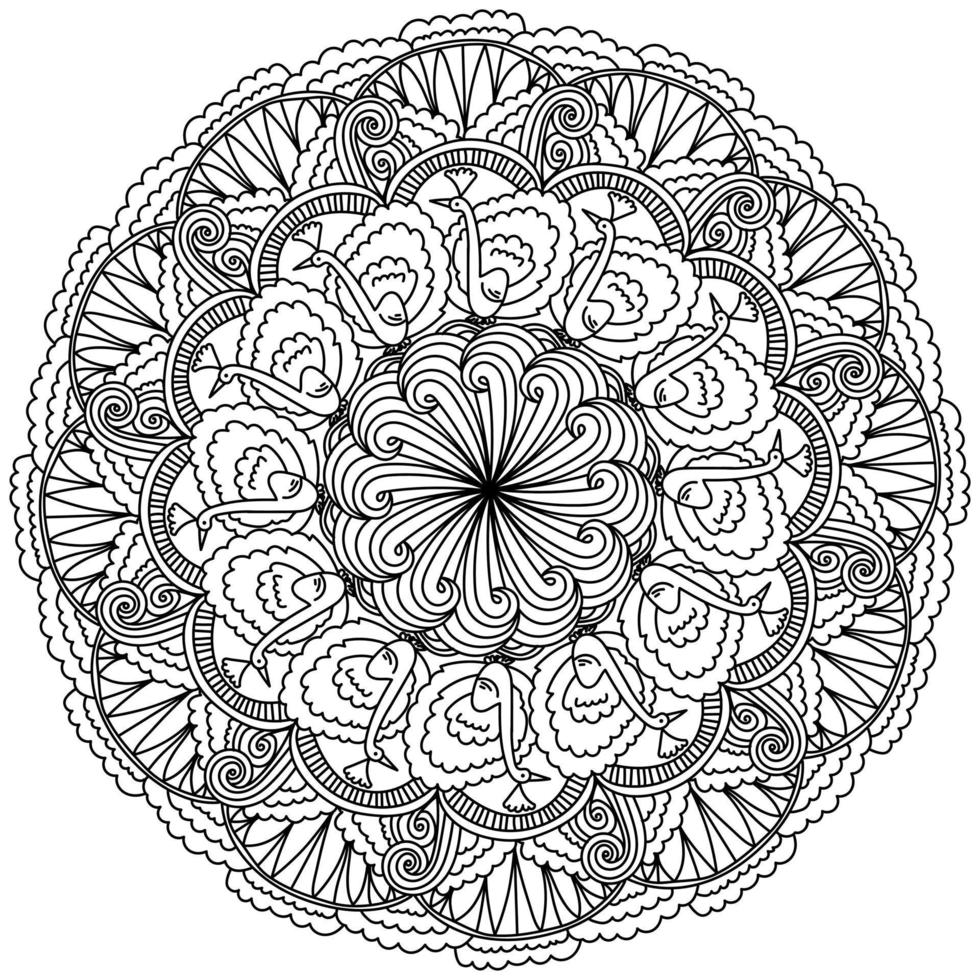 Outline mandala with funny birds, coloring page with patterns and peacocks vector
