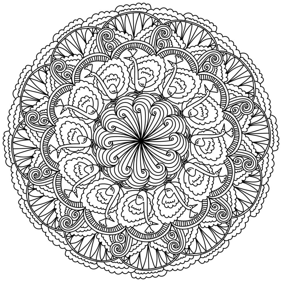 esquema mandala con pájaros divertidos, página para colorear con patrones y pavos reales vector