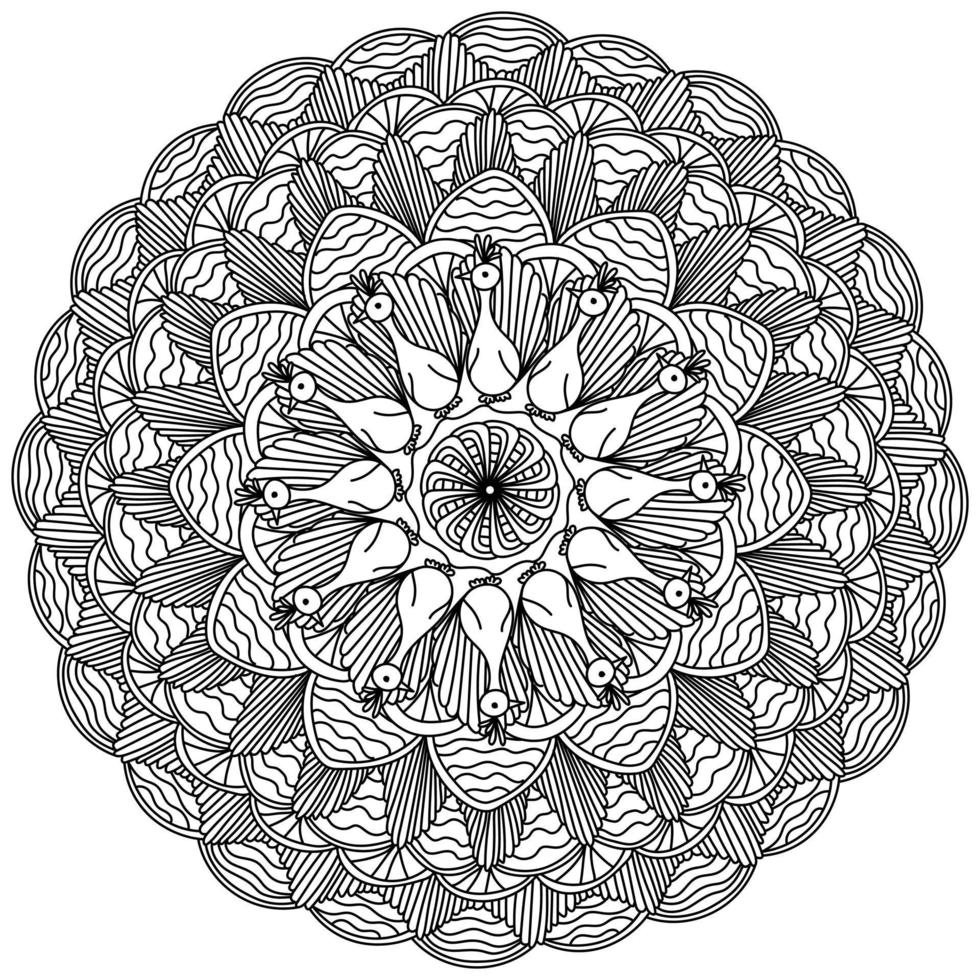 Contour mandala with peacocks, coloring page with doodle birds with lush tails vector