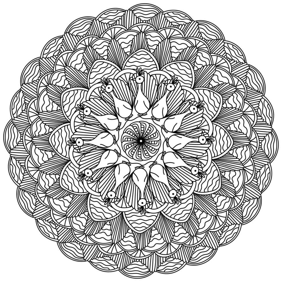 mandala de contorno con pavos reales, página para colorear con pájaros garabatos con colas exuberantes vector