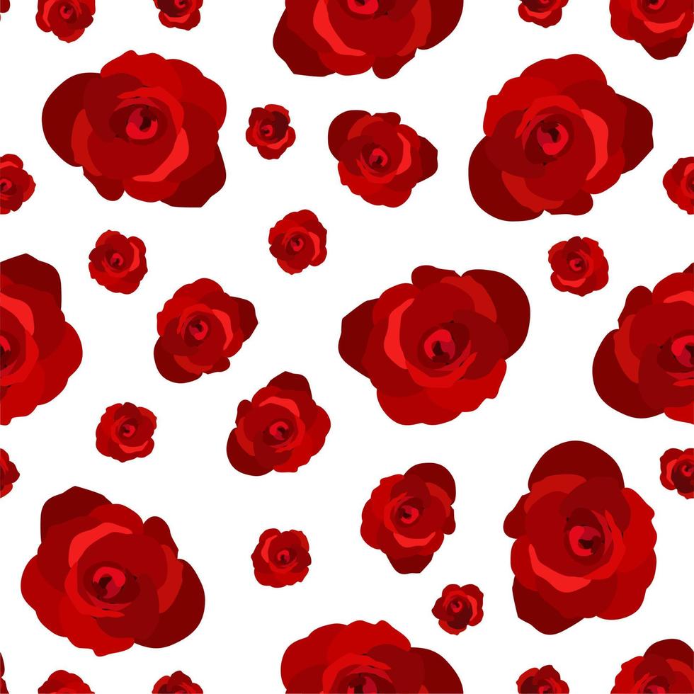 patrón floral transparente de vector con rosas rojas sobre fondo blanco.