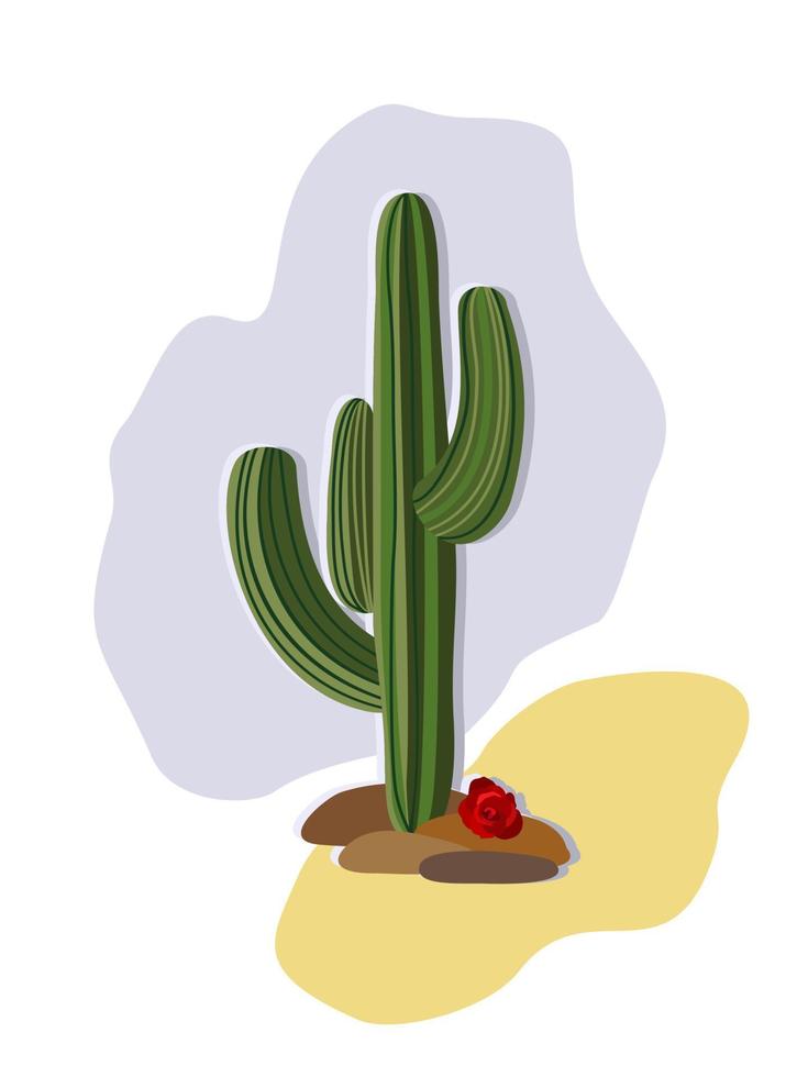 Vector isolated illustration of cactus with red rose lying near. Wild America. Retro cowgirl concept.
