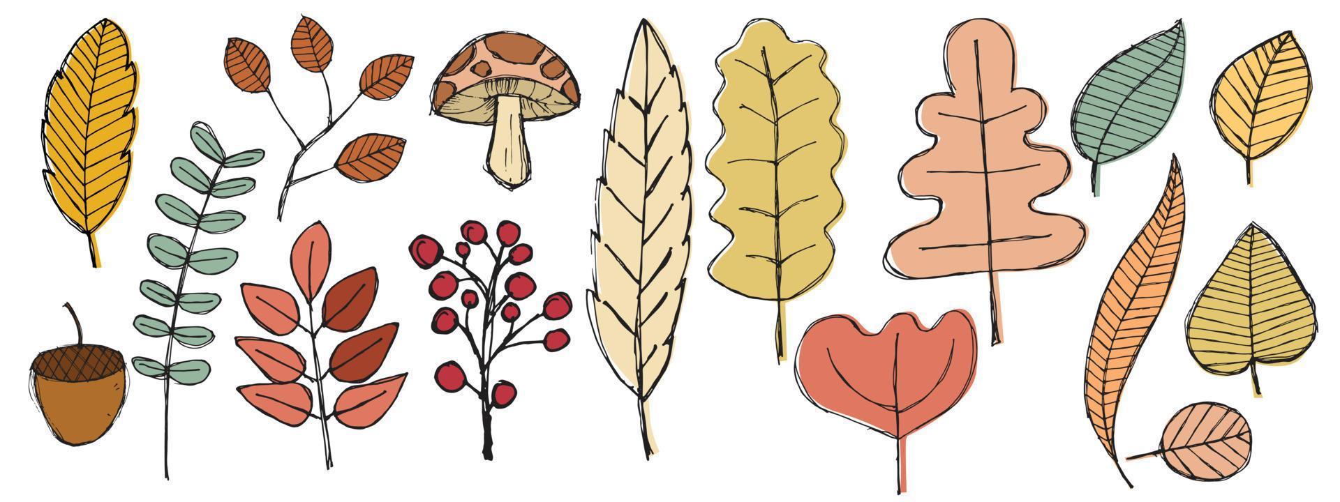 Autumn hand drawing leaves set, isolated on a white background. Simple cartoon flat style. Isolated vector illustration. Design for stickers, logos, web and mobile apps.