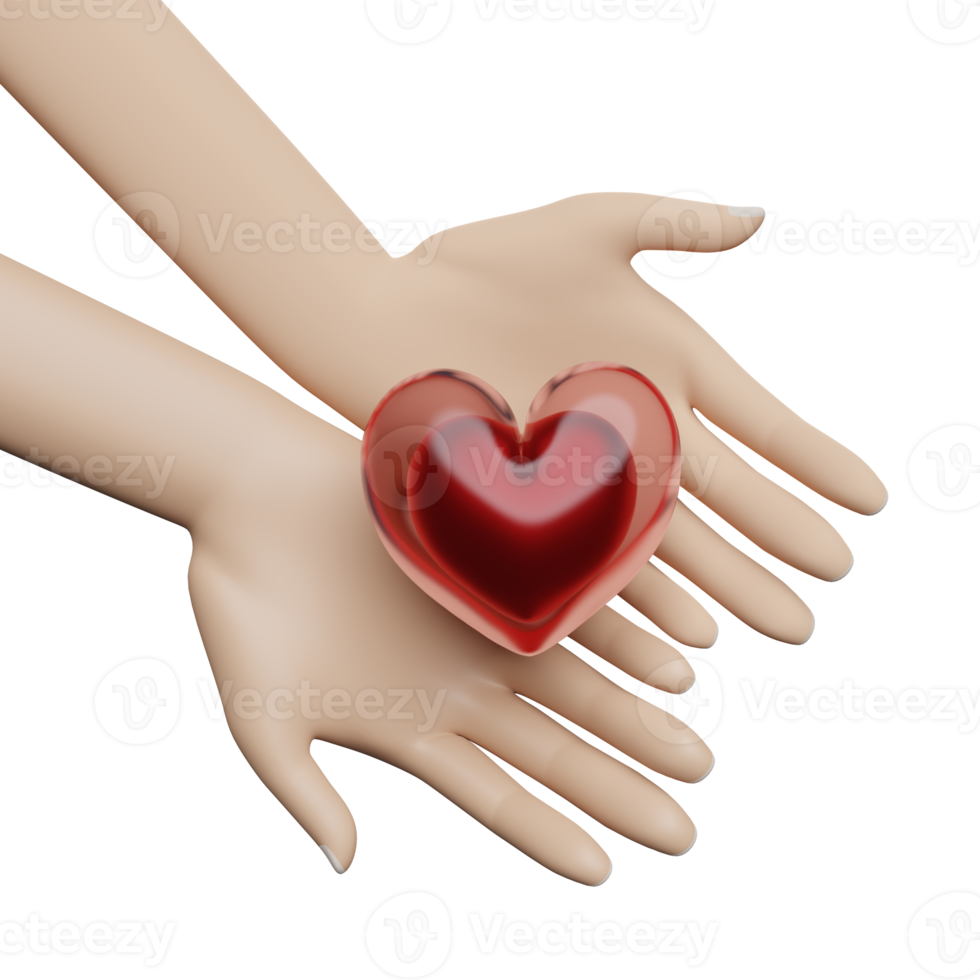cartoon woman hands holding red heart with copy space isolated. health love or world heart day concept, 3d illustration or 3d render png