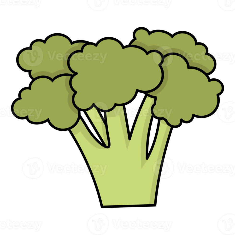 Fresh and mature broccoli png