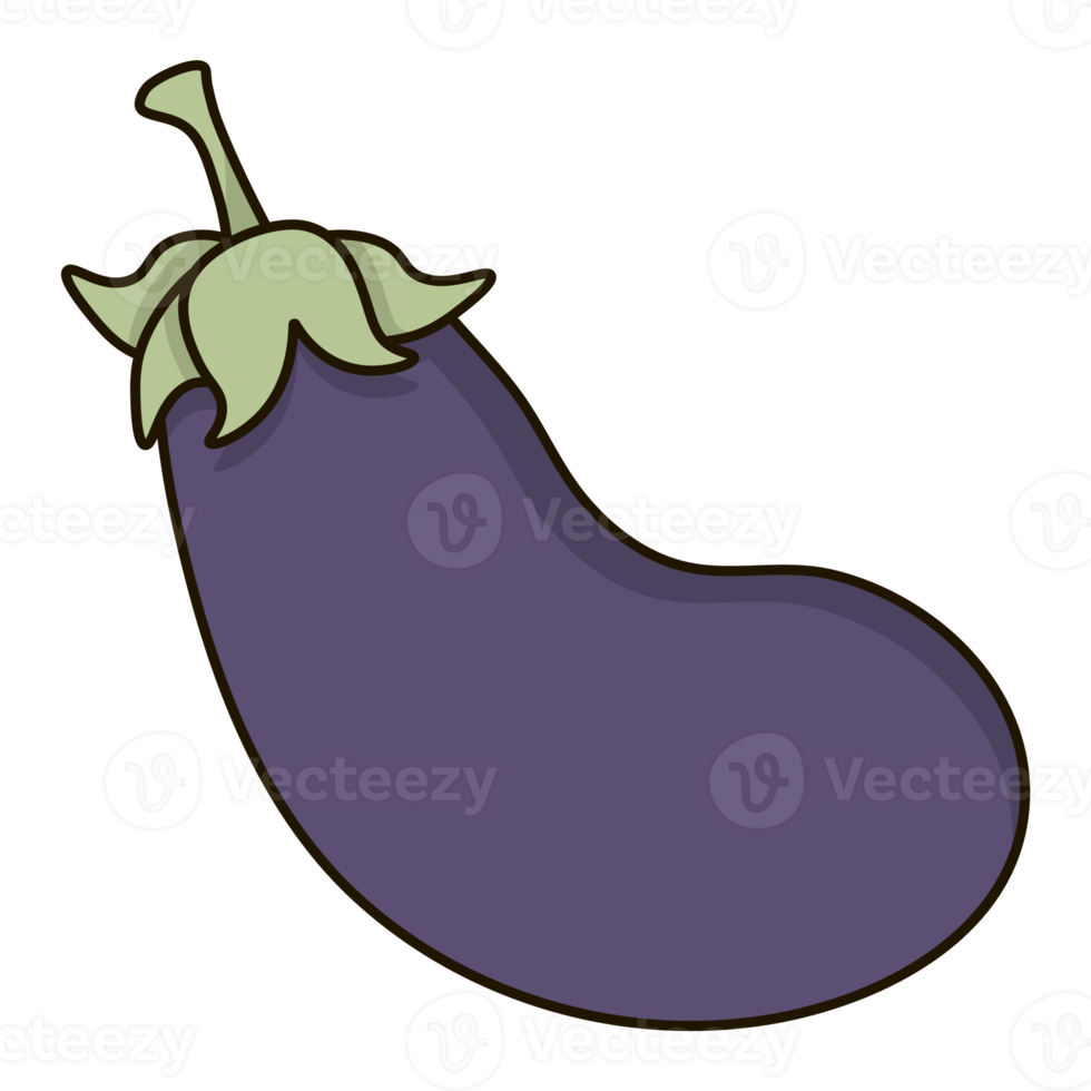 Fresh and mature eggplant png