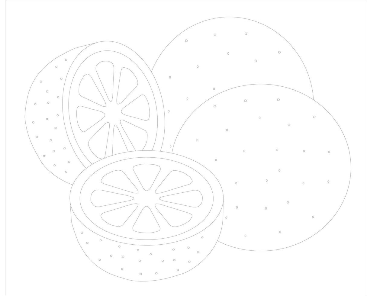 Oranges whole and cut. Sketch. Vector illustration.