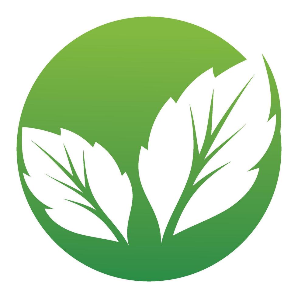 Leaf green logo and symbol vector