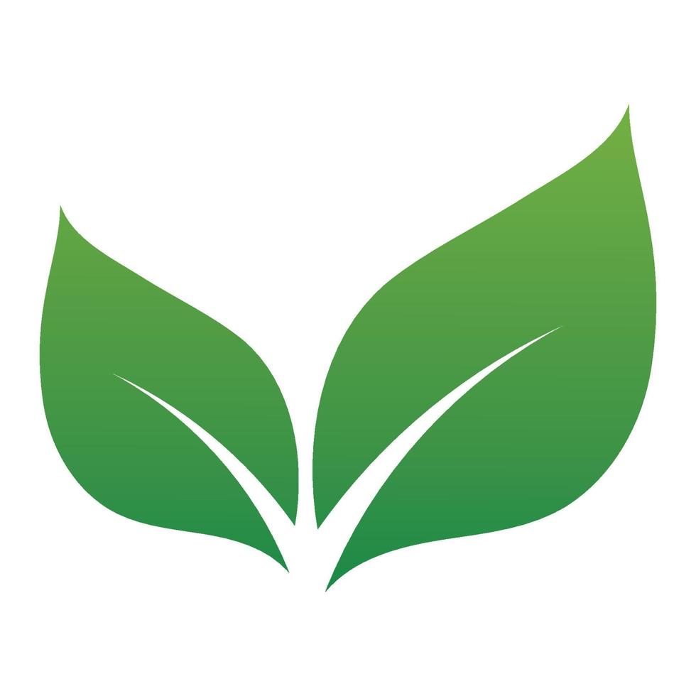 Leaf green logo and symbol vector