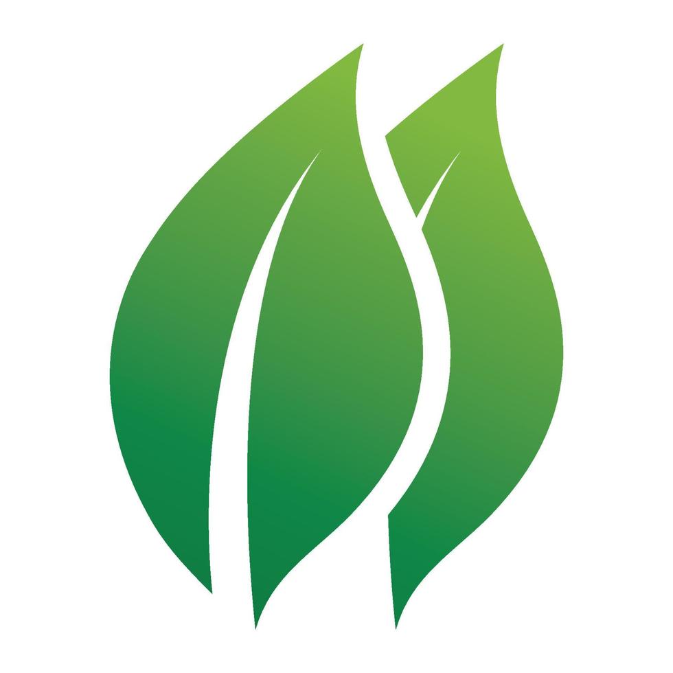 Leaf green logo and symbol vector