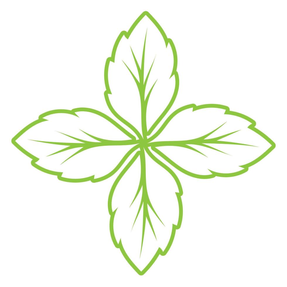 Leaf green ornament design and symbol vector template