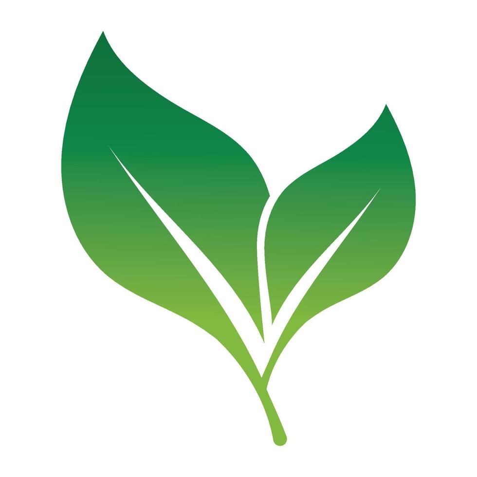 Leaf green logo and symbol vector