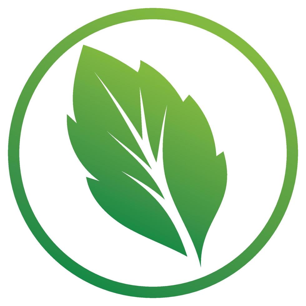 Leaf green logo and symbol vector