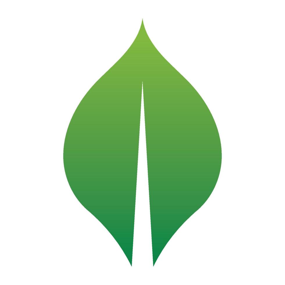 Leaf green logo and symbol vector