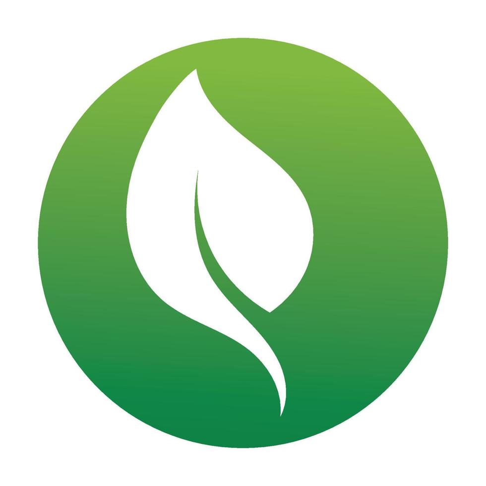 Leaf green logo and symbol vector