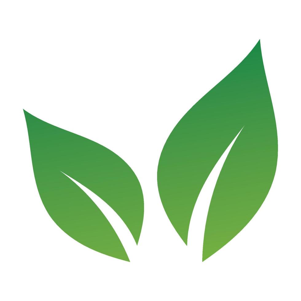 Leaf green logo and symbol vector