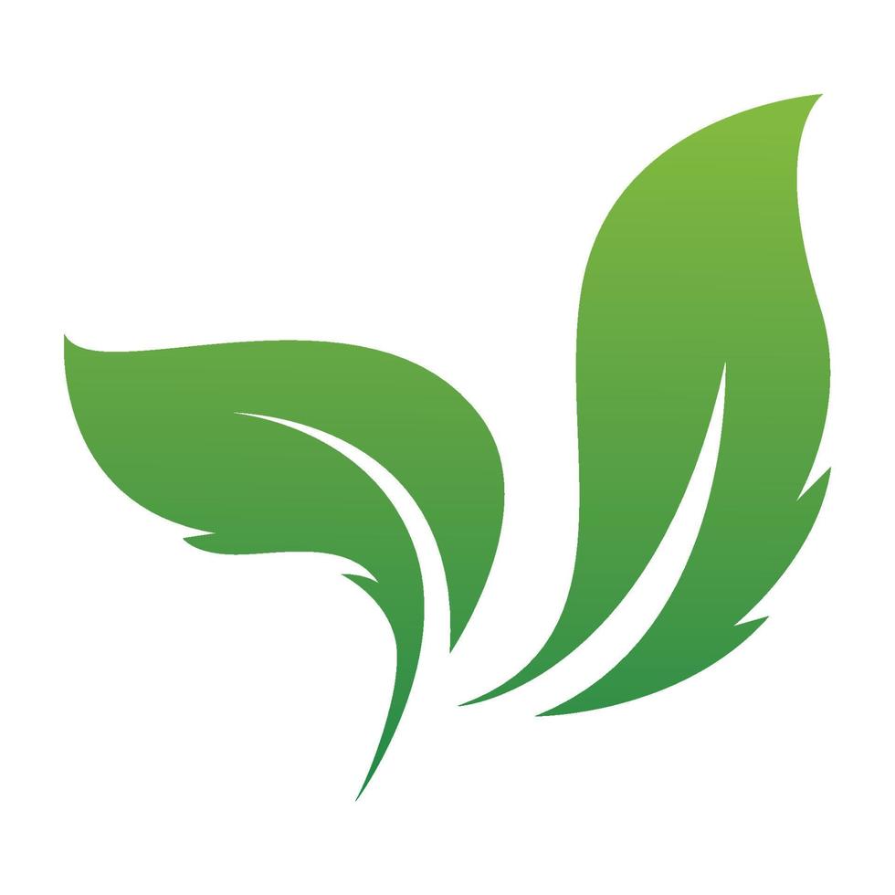 Leaf green logo and symbol vector