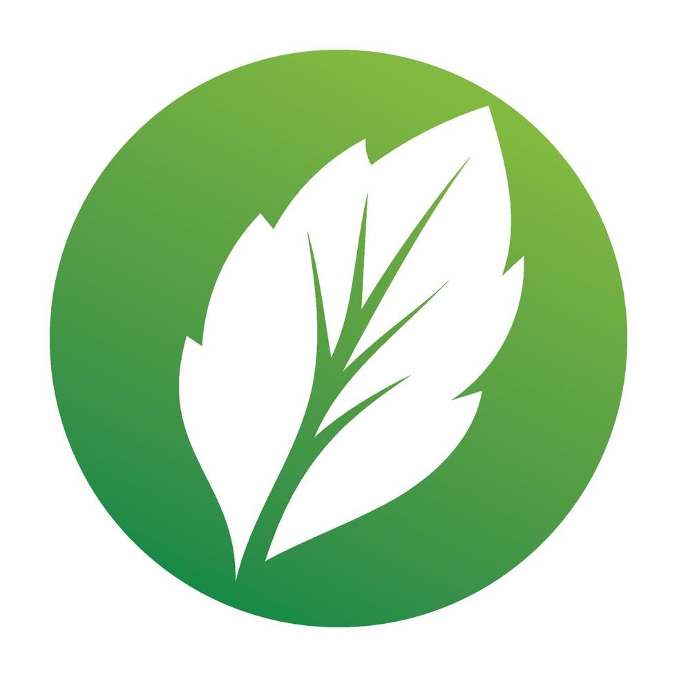Leaf green logo and symbol vector