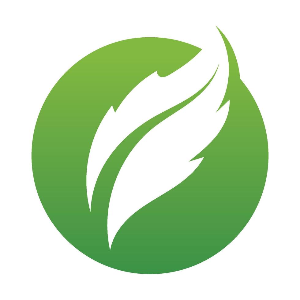 Leaf green logo and symbol vector