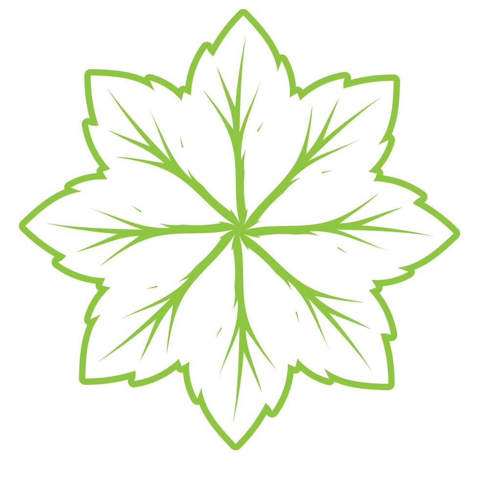 diseño de ornamento verde hoja y plantilla de vector de símbolo