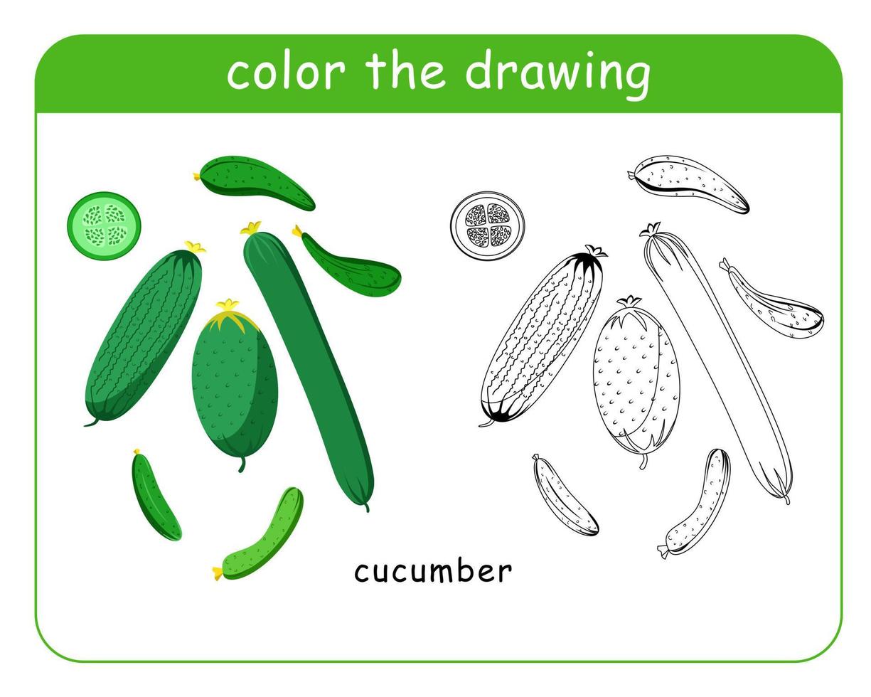 Coloring book for children. A set of green cucumbers in color and black and white. vector