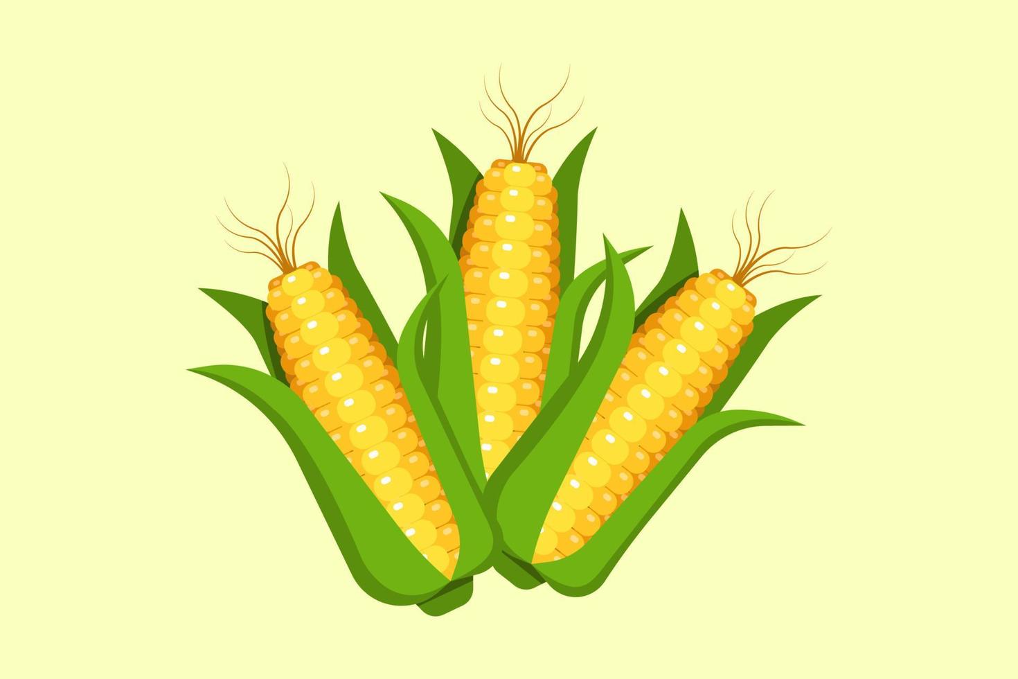 corn vector pattern background design fruit natural