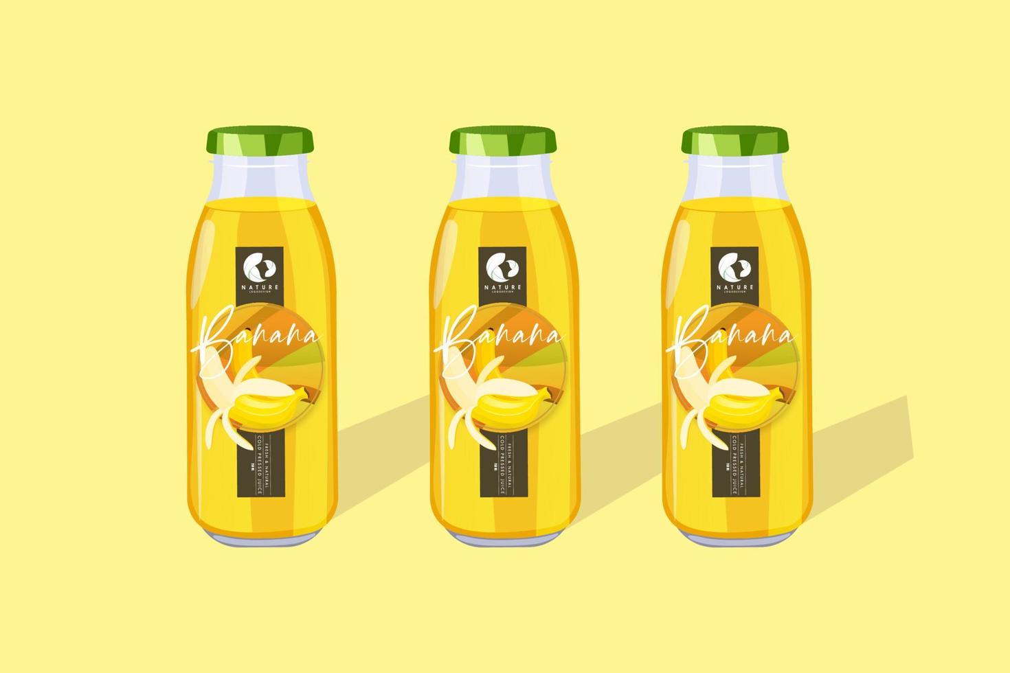 fruit juice bottle vector template illustration