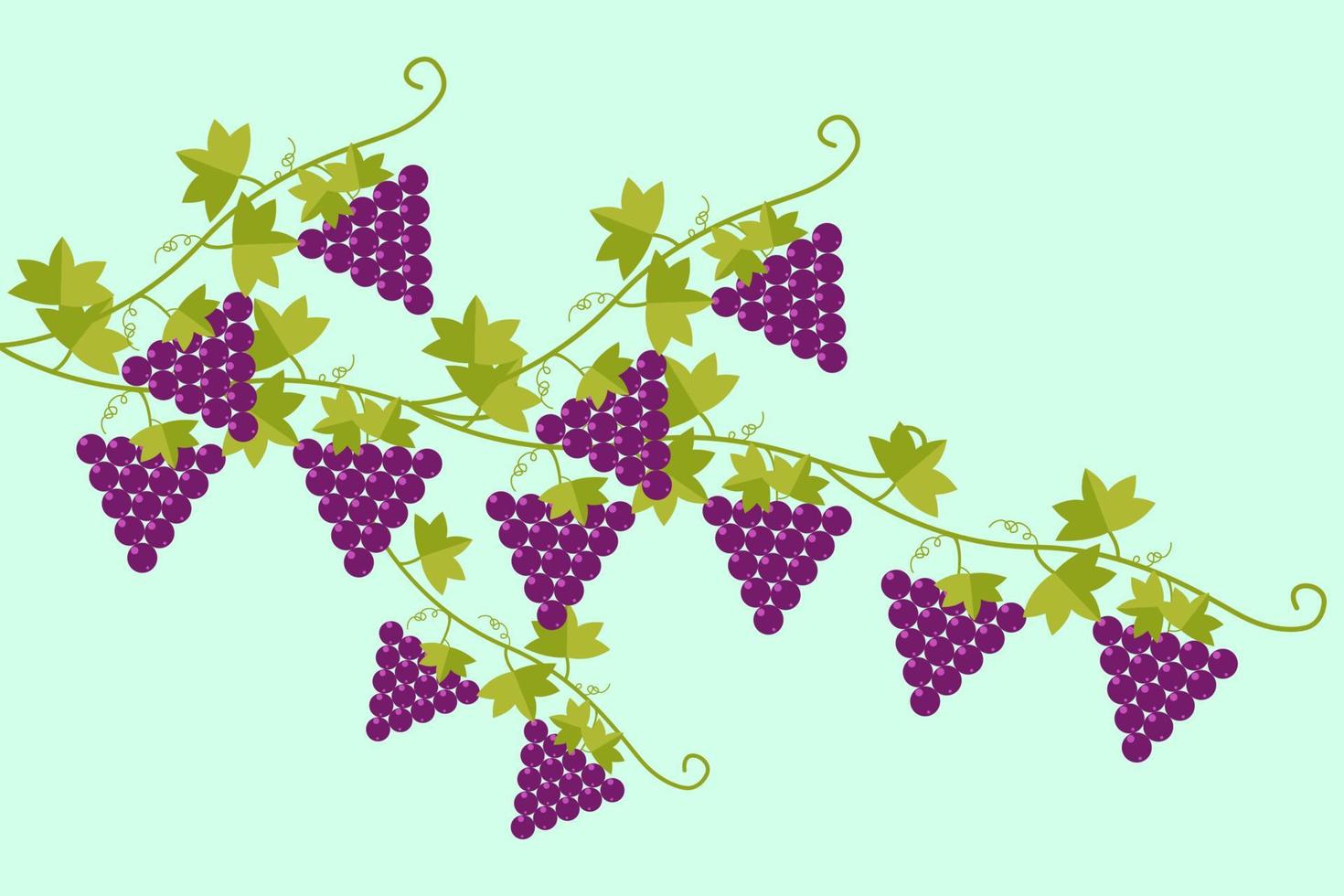 grapes design purple berry pattern vector seamless