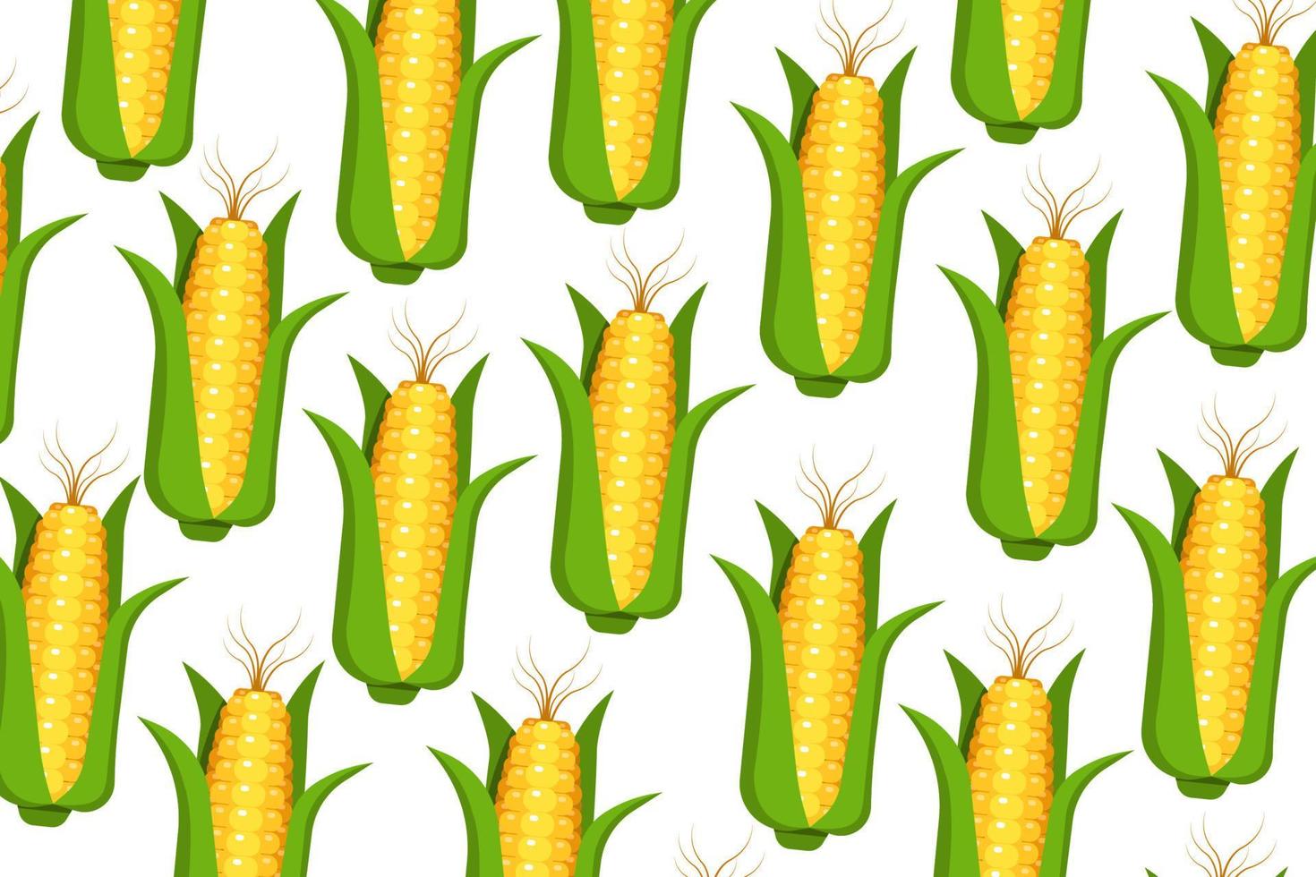 corn vector pattern background design fruit natural