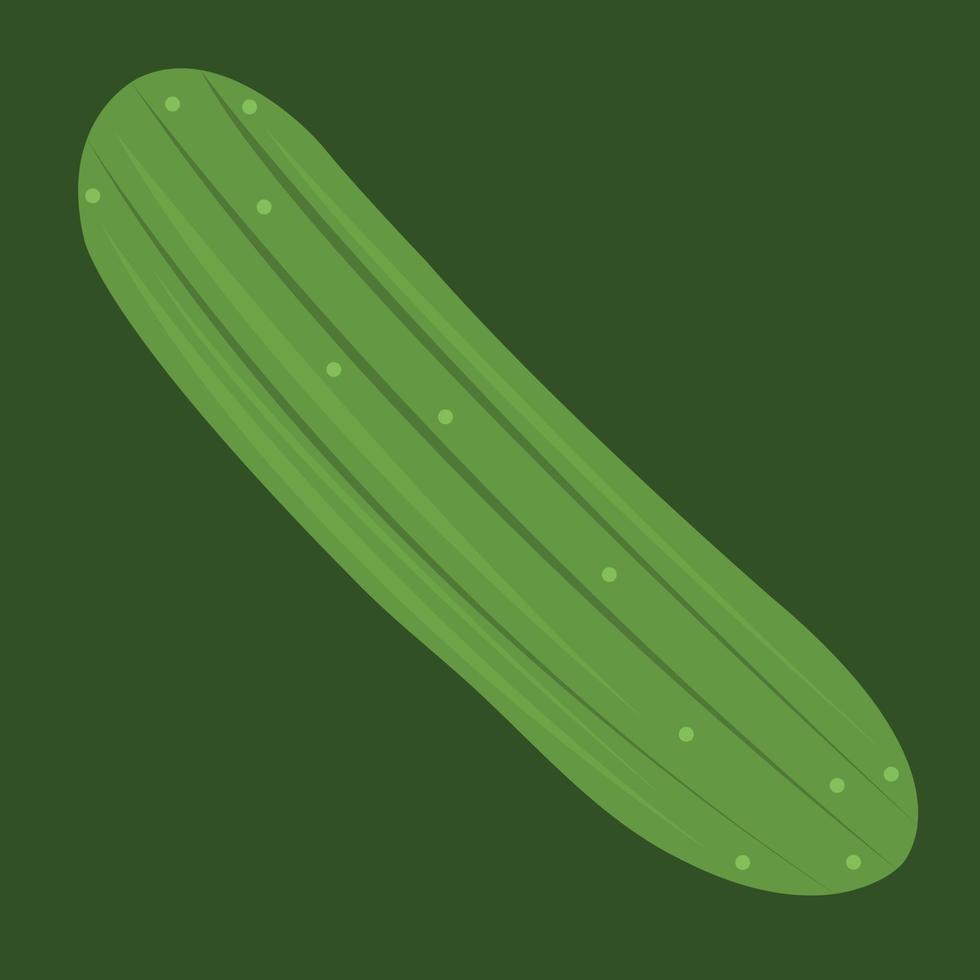 Green cucumber vector illustration for graphic design and decorative element