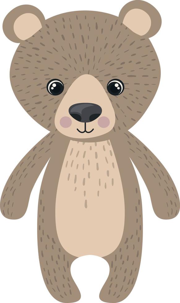 Teddy bear, illustration, vector on white background.