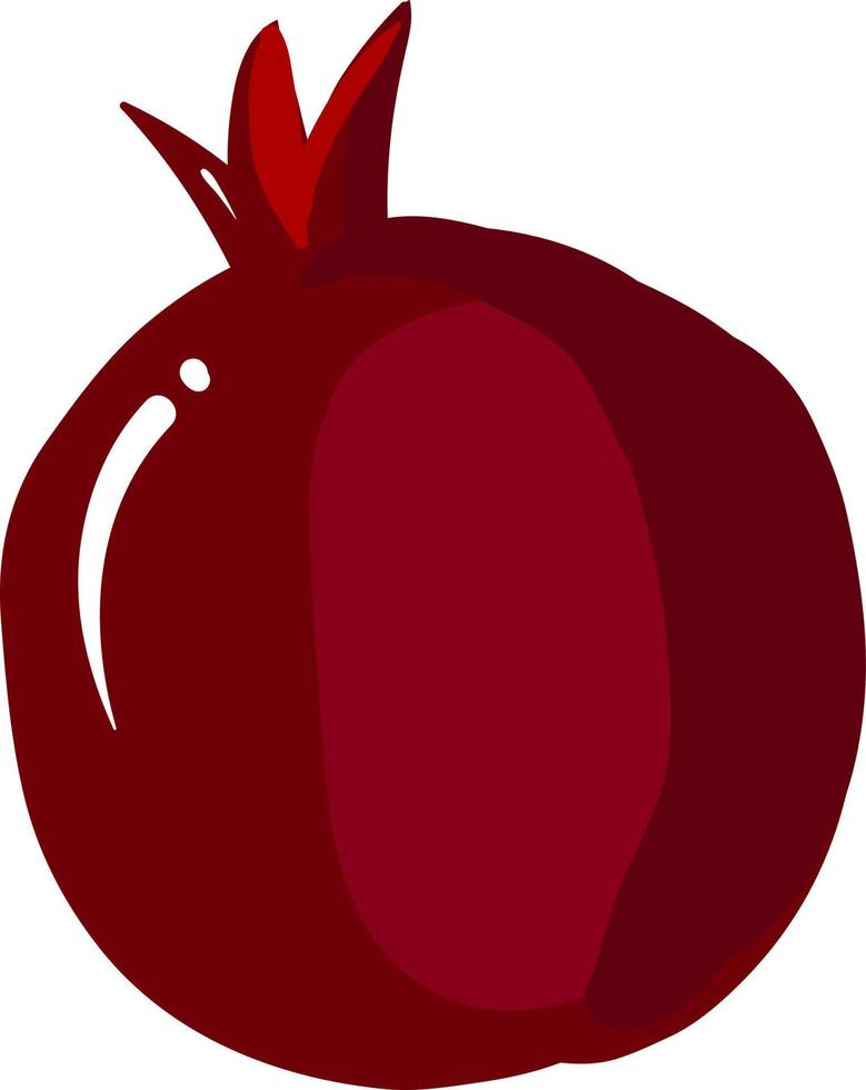 Red pomegranate, illustration, vector on white background.