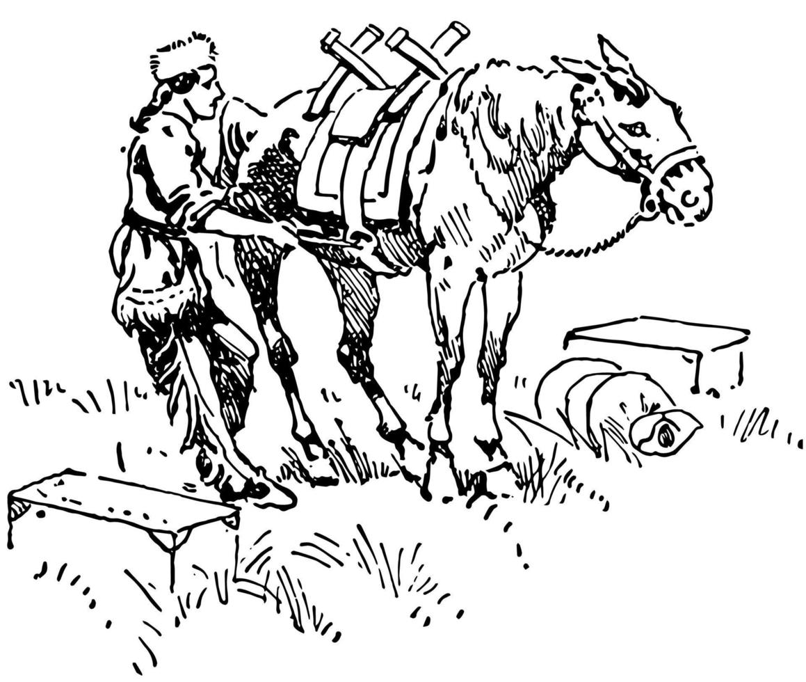 Pack Horse, vintage illustration. vector