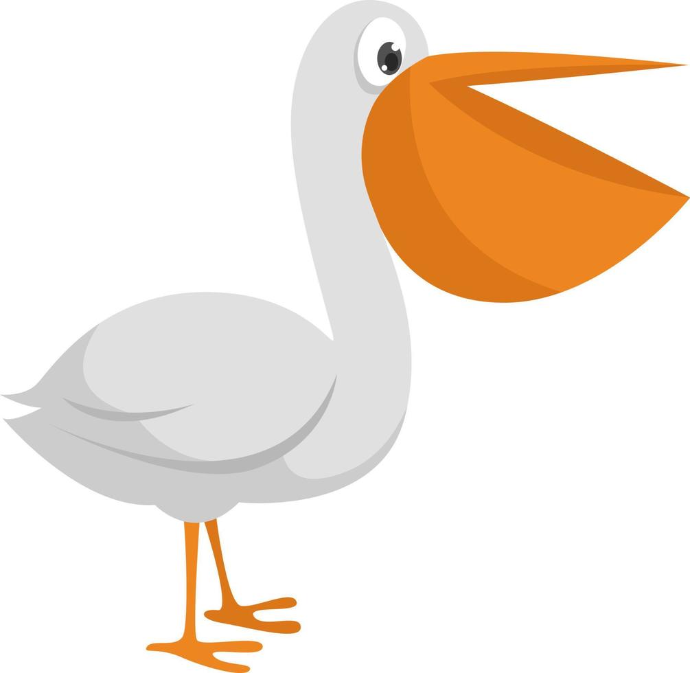 pájaro pelícano, ilustración, vector sobre fondo blanco