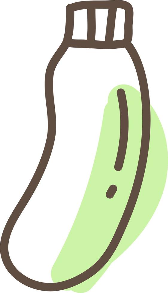 Green zucchini, illustration, vector, on a white background. vector