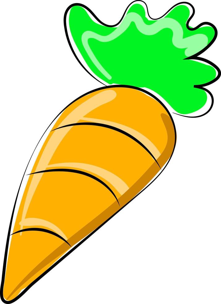 Orange carrot, illustration, vector on white background.