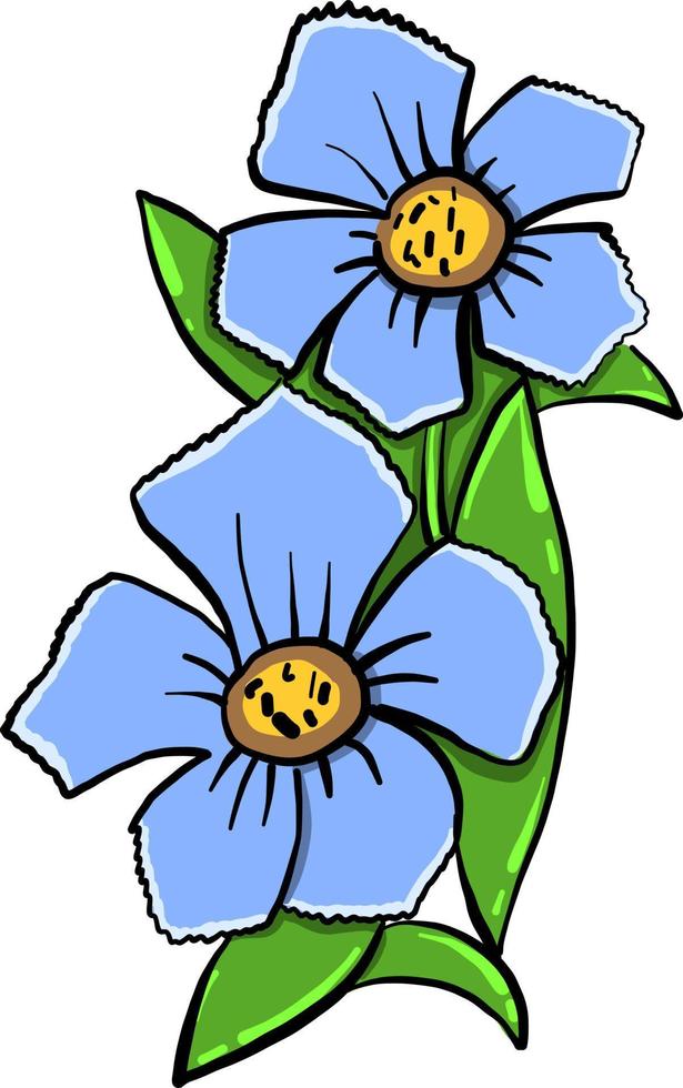 Violets flower , illustration, vector on white background