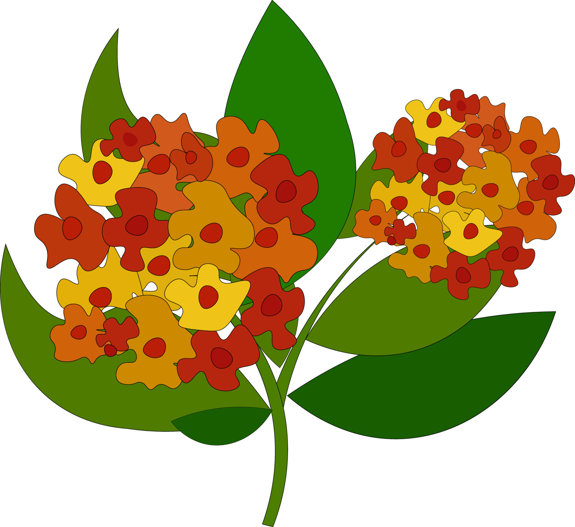 Lantana (lower product) - Stock Illustration [14730653] - PIXTA