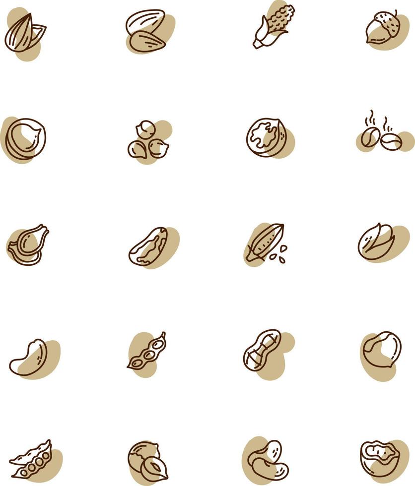 tipos de nueces, ilustración, vector, sobre un fondo blanco. vector