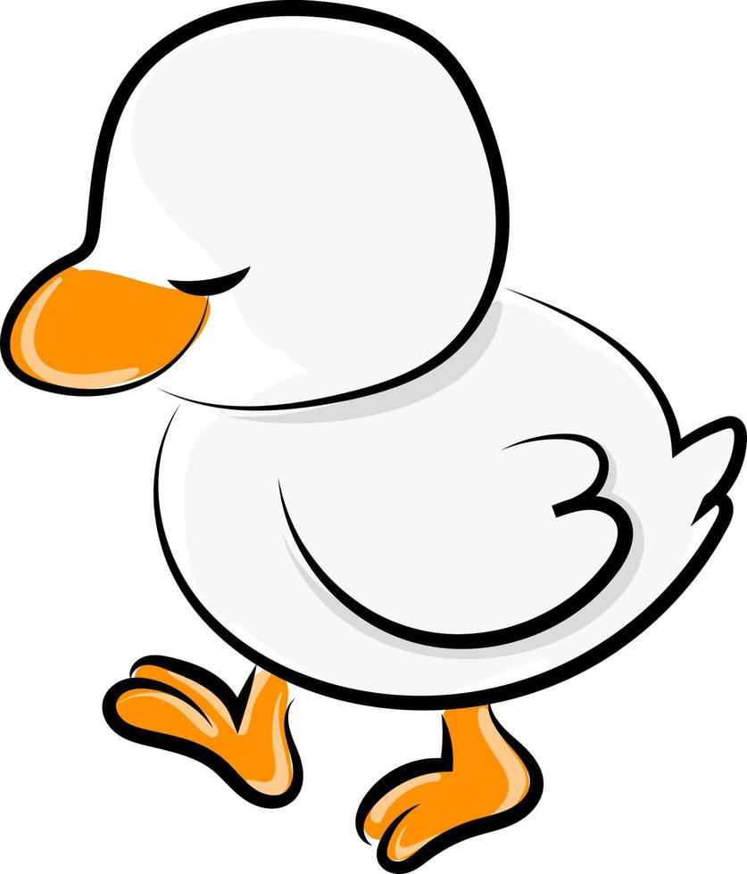White duck, illustration, vector on white background.