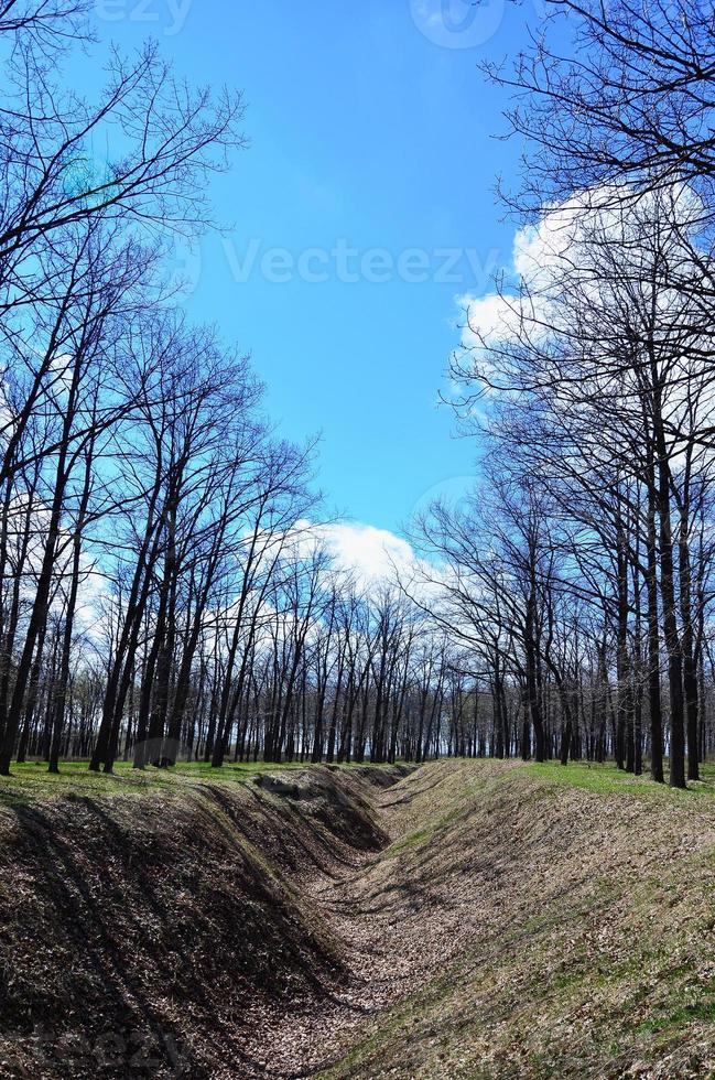 Spring landscape with a deep ravine filled with fallen leaves surrounded by a lot of trees on the edge of the forest next to the village photo