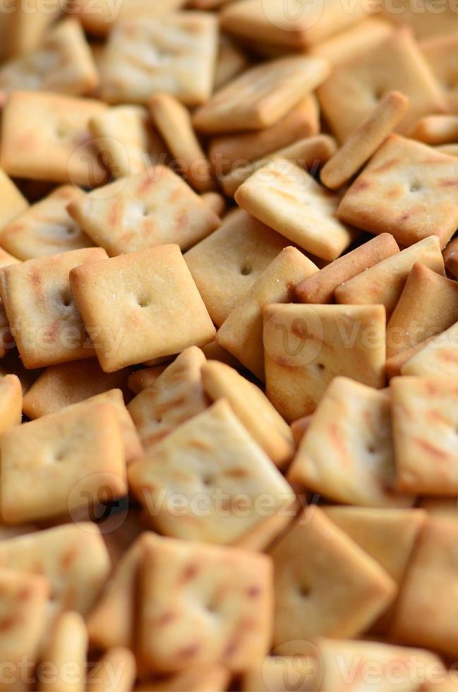 Background texture of small edible squares baked from dough and sprinkled with salt. A lot of salt cracker photo
