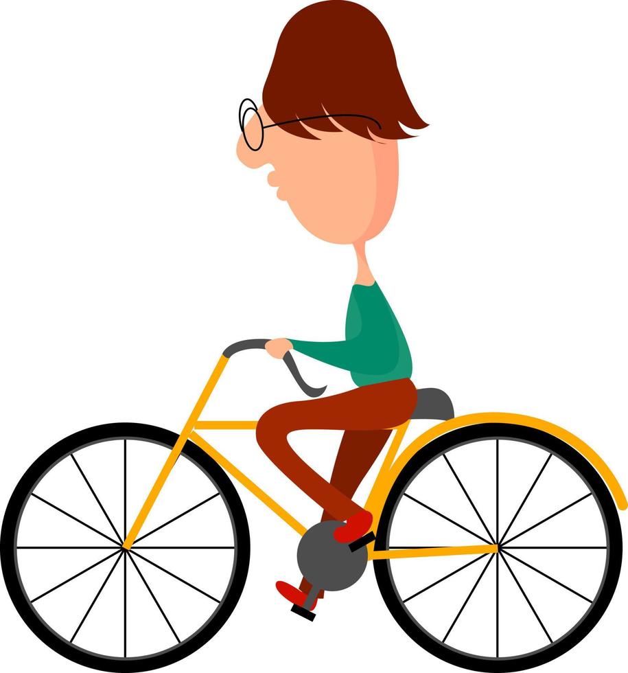 Boy on bicycle, illustration, vector on white background.