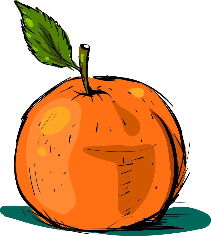 Orange drawing, illustration, vector on white background.