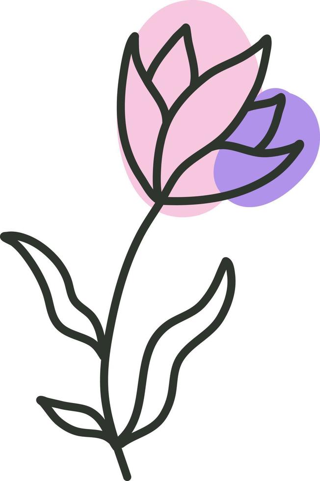 Beautiful flower, illustration, vector on a white background.