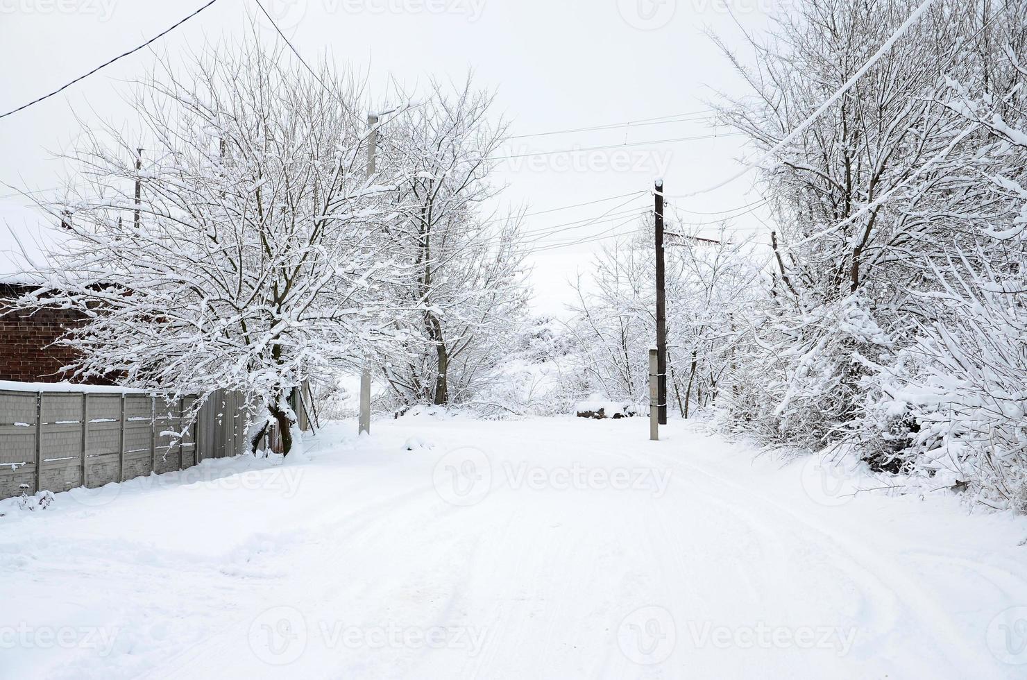 A rustic winter landscape with some old houses and a broad highway covered with a thick layer of snow photo