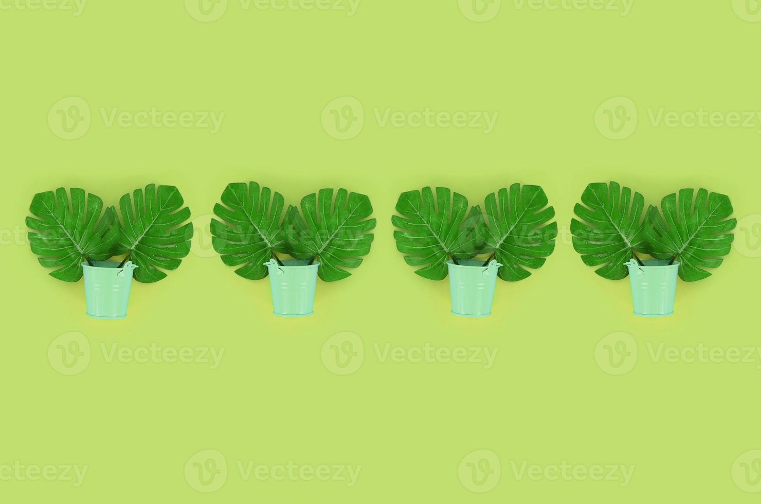 Tropical palm monstera leaves lies in a pastel pails on a colored background. Flat lay trendy minimal pattern. Top view photo