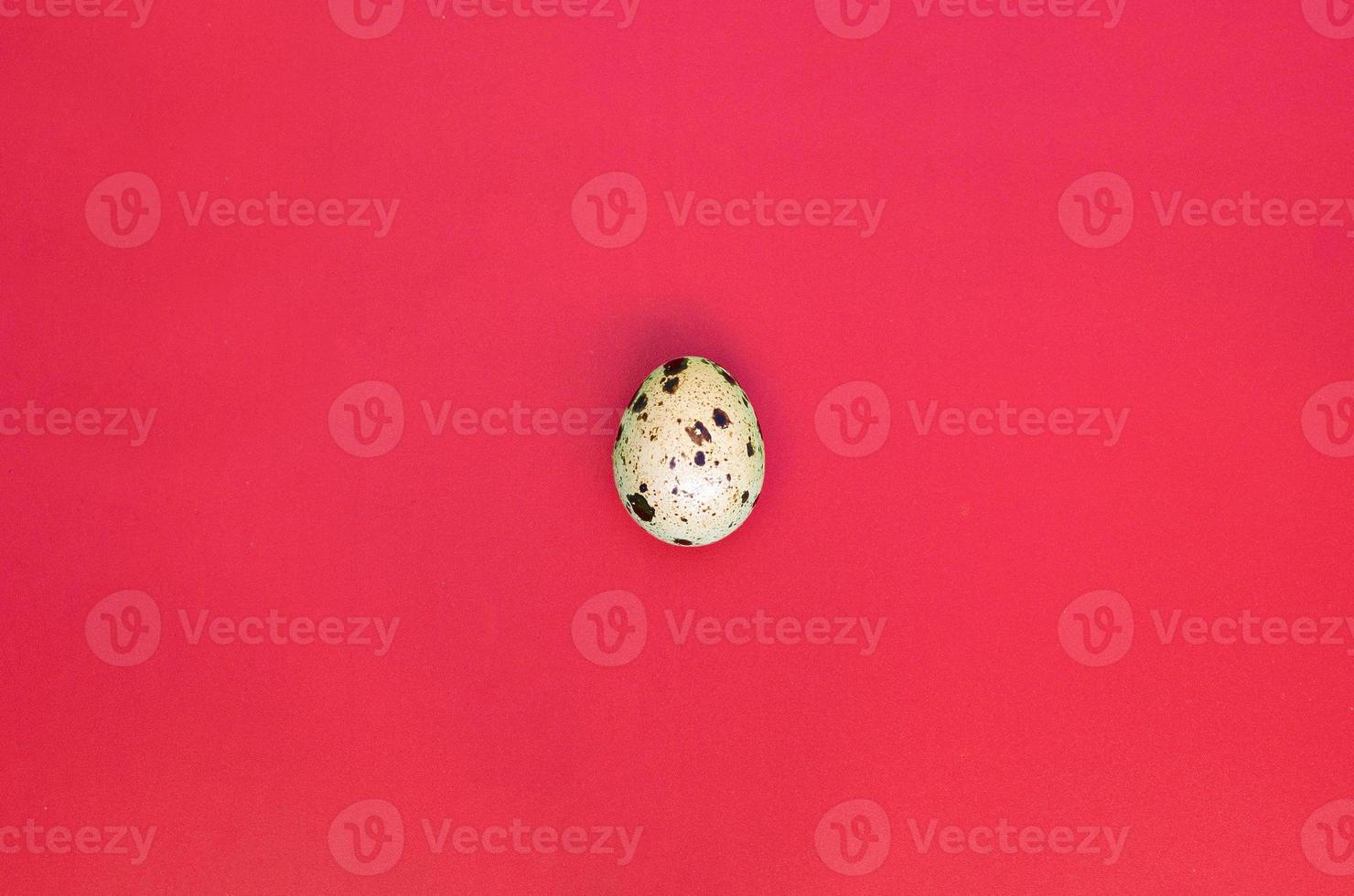 One quail egg on a light red surface, top view, empty place for text photo